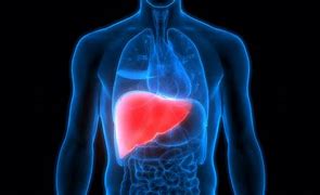 <p>Enfermedades del intestino y el h&iacute;gado</p>
